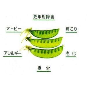 エミュープラセンタカプセル お徳用 1０カプセル入り×10シート