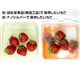 ナノシルバー抗菌密閉容器 5個セット - 縮小画像3