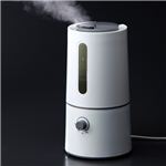 お好みの香りをミスト！アロマ超音波式加湿器 Ms.ミスト 【送料無料】