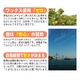 完全無農薬みかん 10kg - 縮小画像3