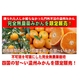 完全無農薬みかん 30kg - 縮小画像1