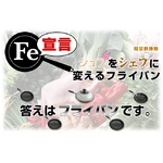 yʓStCp FE錾 20cm 1 摜1