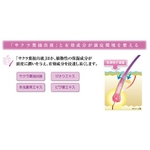 ������ ��p��э� 120ml  �y��򕔊O�i�z �摜2