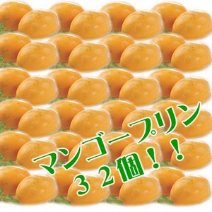 完熟マンゴー果肉をタップリ♪マンゴープリン32個