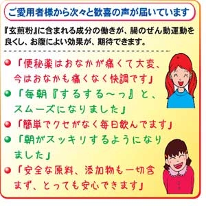 【5袋セット】おなか「すっきり」・岩手の安心・玄米使用『玄米まるごと玄煎粉』