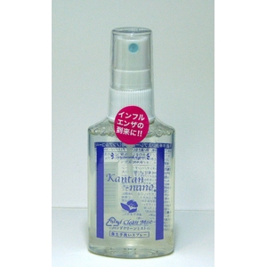 ���ۏ��L�܁@�g�їp�X�v���[�@�n���h�N���[���~�X�g  10�{�Z�b�g