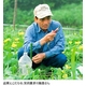 自然派スキンケア 水粧物語化粧水 P.VER 【へちま化粧水】お得な2本セット! - 縮小画像4