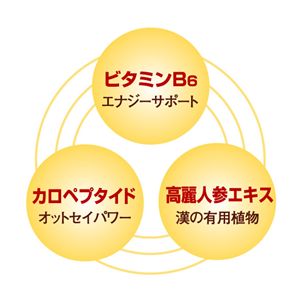 カロミンV 【栄養機能食品】 (50ml×10本セット)