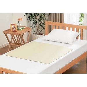 �y�q���J���z�􂦂�Ђ���W�F���}�b�g �V���O�� �y2010�N�Łz