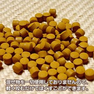 【ウコン三国志│諸葛亮孔明　レア秋ウコン】画像５