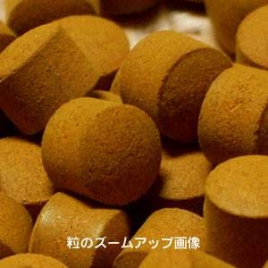 【ウコン三国志│諸葛亮孔明　レア秋ウコン】画像６