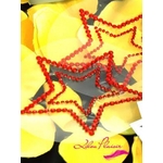 Bijoux Indiscrets A[eBXecNȗUfĂMtg{bNX Stripteuse
