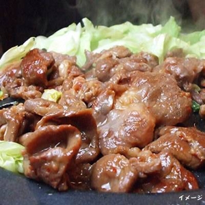発売2年で13トン販売★ 業務用ジンギスカン27人前!