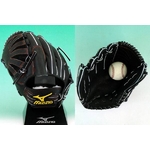 2010Nf MIZUNOPROi~Ymvj dO[u ΐ^ p 2gw18052-09-h ubN(09) p 摜1