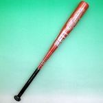 2010Nf ZETTi[bgj Npobg wCgu[h-3x bh(6400) 72cm~550g 摜1