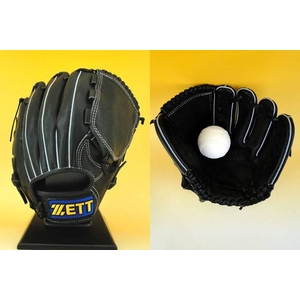 2010Nf ZETTi[bgj NO[u OXeC^X f bjga71011 ubN(1900) Ep 摜P