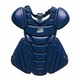2010Nf ZETTi[bgj PROSTATUSivXeC^Xj 싅pveN^[ lCr[(2900) 摜2