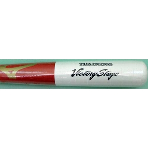 y2010NNEWfz MIZUNOi~Ymj ʃg[jOpobg 85cm~1000g zCg~bh(0162) 摜2
