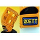 ZETTi[bgj 2010Nf wOXeC^XxO[u p IW(5600) Ep 摜2