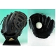 2010Nffi adidasiAfB_Xj ProfessionalivtFbVij ʓpO[uwCN烂flx p Ep ubN(e38086) 摜1