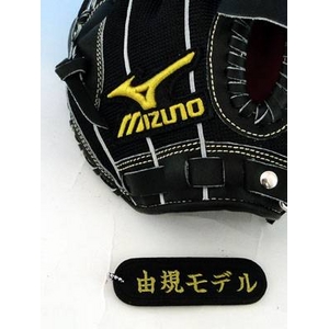 MIZUNO ʓpO[u RKf ubN(09) Ep 摜3