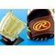 2010Nf Rawlingsi[OXj ʓpO[uw`[GNXsbgV[Yx I[OEh zCg~VF[ Ep 摜2