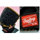 y2010Nfz Rawlingsi[OXj ʗpO[u fbNEW[^[f ubN~CguE Ep 摜2