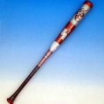 2010Nf SSKiGXGXPCj NpؐobgwSUPER PROx {f bh 80cm~560g 摜1