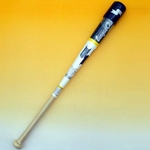 2010Nf SSKiGXGXPCj ؐg[jOobg w[O`vTRAININGx zCgDGRi1059j zCgDGR 85cm~1000g 摜1