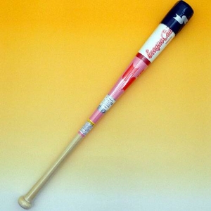2010Nf SSKiGXGXPCj ؐg[jOobg w[O`vTRAININGx sNWTi2510j sNWT(2510) 85cm~1000 摜P