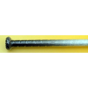 2010Ni WilsoniEB\j DeMARINIif}jj \tg[{[pobgwDMAXx \tg{[2p 78cm~580g(7858) 摜3