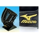 y2011NfzMIZUNOi~Ymj dT[hEV[gpO[uiVEOێpj ~YmvAZNV ubN 2gw-28105-09 ubN(09) Ep 摜2