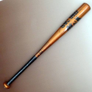 ZETTi[bgj  NpobgwSWINGMAXx IW(5600) 70cm~400g 摜P