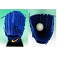 NIKEiiCLj ʓO[u wSIGNATURE MODELiVOl`[fj x  G^ bf1385-403 Cu[(403) Ep 摜1