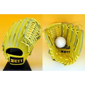 ZETTi[bgj 2010Nf ʓpO[u VEێp vXeC^XRNT CG[(5300) Ep 摜P
