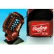 Rawlingsi[OXj ʗpO[u }CPEOf yRG21MYz VF[~ubN(2490) Ep 摜2