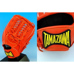 TAMAZAWAi^}Uj O[u I[Ehp tg-jo241 JIW 摜2