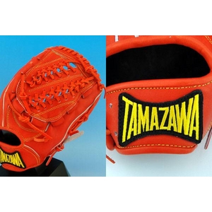 TAMAZAWAi^}Uj O[u p tg-jo245 JIW 摜2