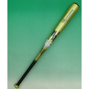 2010Nf SSKiGXGXPCj NpobgwTHE PROFESSIONALx @f CG[ 78cm~580g 摜P