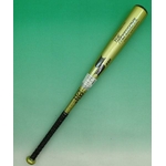 2010Nf SSKiGXGXPCj NpobgwTHE PROFESSIONALx @f CG[ 78cm~580g 摜1