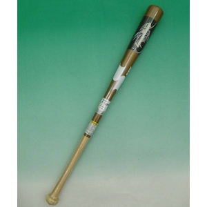2010Nf SSKiGXGXPCj ؐNg[jOpobgwLeagueChampx {mf S[h 80cm~800g 摜P