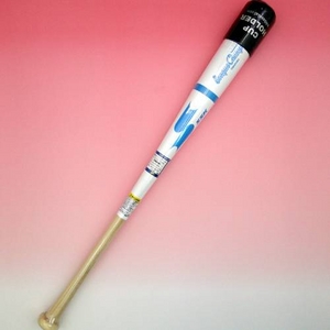 y09Nfz SSKiGXGXPCj ؐg[jOobg w[O`vTRAININGx zCgIBL(1075) 85cm/1000g 摜P