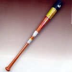 2010Nf SSKiGXGXPCj ؐg[jOobg w[O`vTRAININGx IWYEL 85cm~1000g 摜1