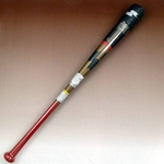 2010Nf SSKiGXGXPCj ؐg[jOobg w[O`vTRAININGx S[hrd(3820) 85cm~1000g 摜1
