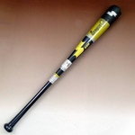 2010Nf SSKiGXGXPCj ؐg[jOobg w[O`vTRAININGx lCr[YEL(7030) 85cm~1000g 摜1