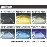 �w�b�h���C�g�v���I�I8000K HID�R���o�[�W�����L�b�g WFG-8H11