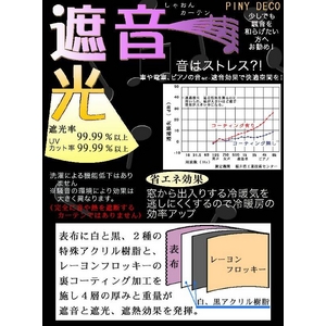 防音カーテン ホワイト 幅100cm×丈110cm 2枚組