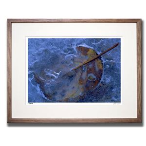 風景専門店あゆわら 《アートフォトフレーム》凍る落ち葉 〔自然写真・藤田稔〕 - 拡大画像