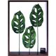 風景専門店あゆわら 《リーフパネル》F-style Frame Monstera friedrichsthalii（モンステラ マドカズラ）