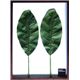 風景専門店あゆわら 《リーフパネル》F-style Frame Musa acuminata（ムサアクミナータ・バナナ）